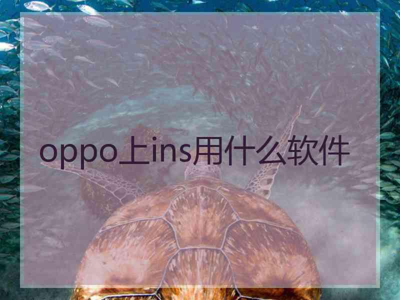 oppo上ins用什么软件