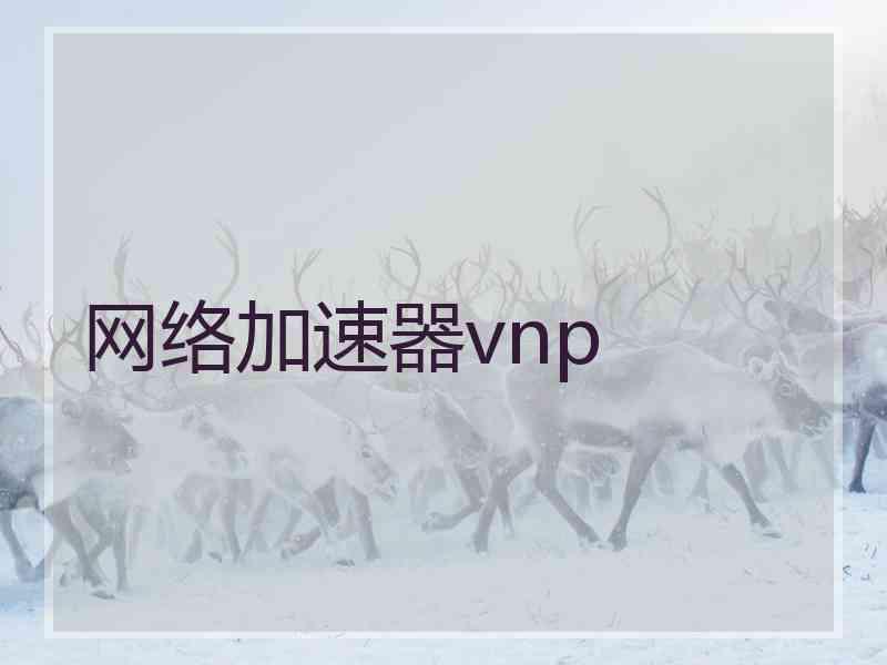 网络加速器vnp