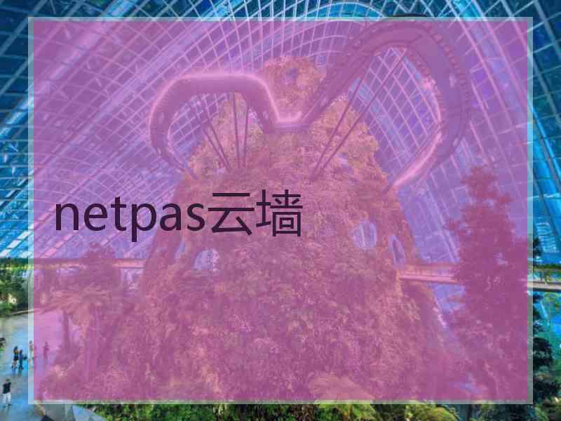 netpas云墙