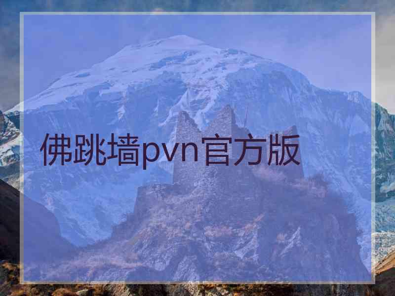 佛跳墙pvn官方版