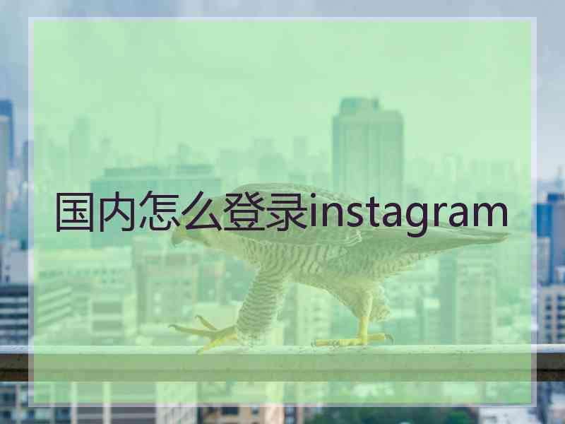 国内怎么登录instagram