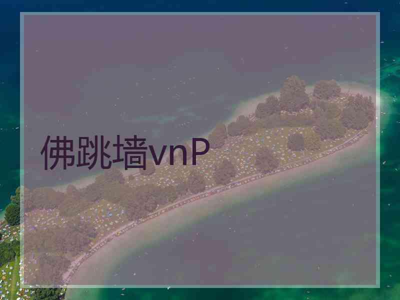 佛跳墙vnP