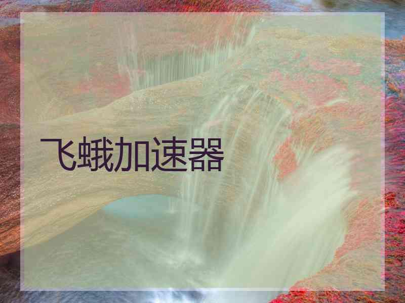飞蛾加速器