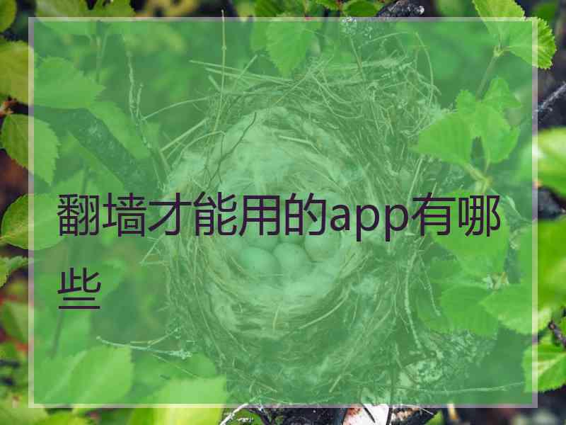 翻墙才能用的app有哪些