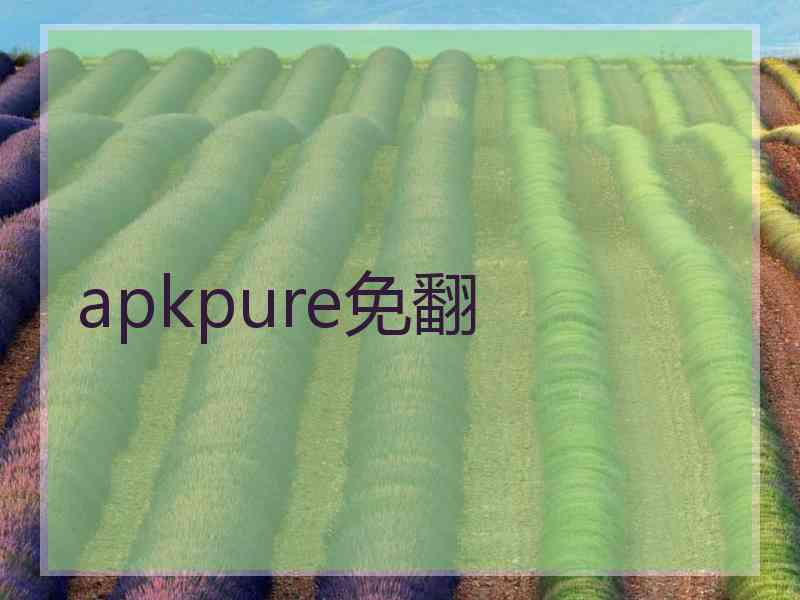 apkpure免翻