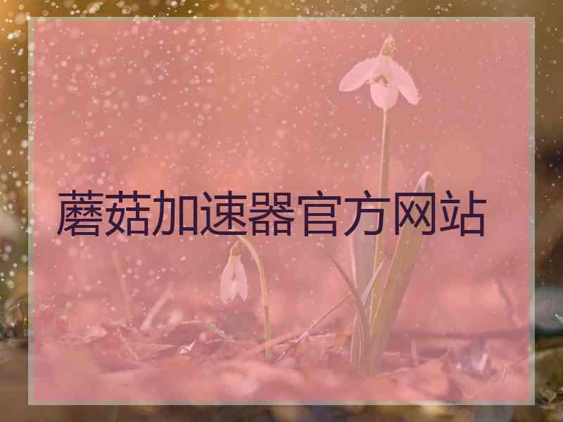 蘑菇加速器官方网站