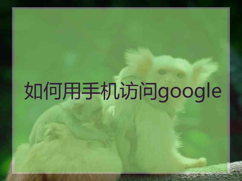 如何用手机访问google