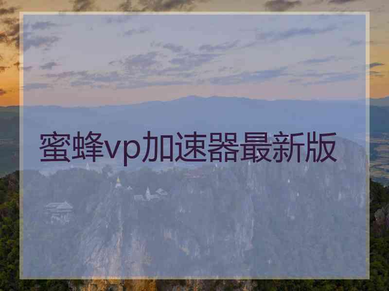 蜜蜂vp加速器最新版