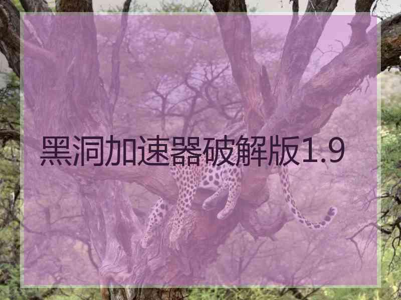 黑洞加速器破解版1.9