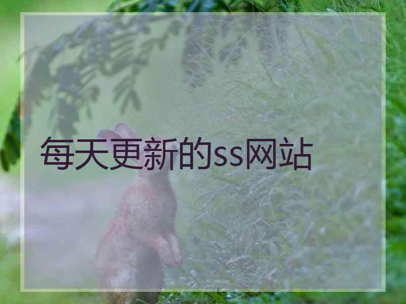 每天更新的ss网站