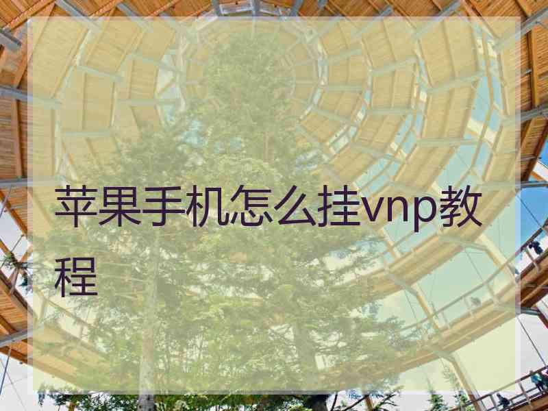 苹果手机怎么挂vnp教程