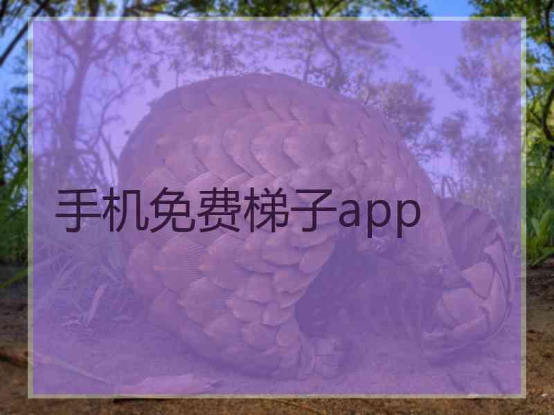 手机免费梯子app