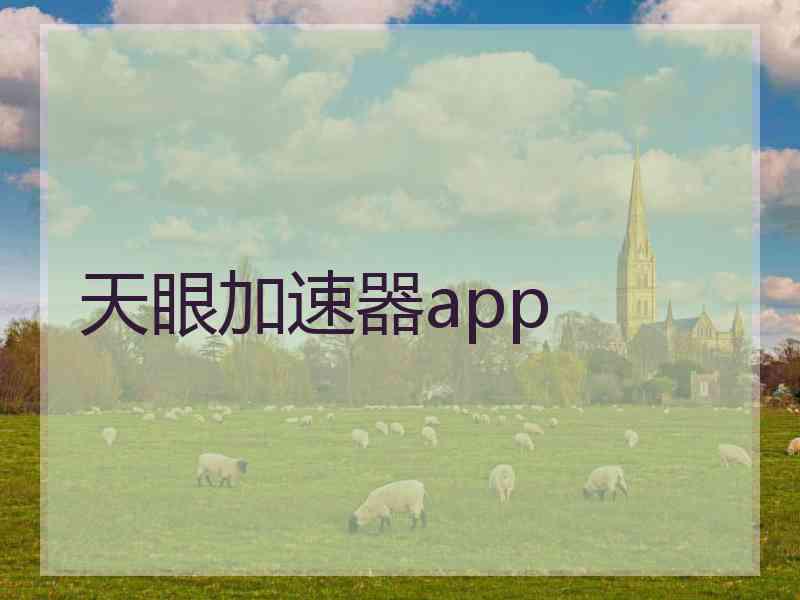 天眼加速器app