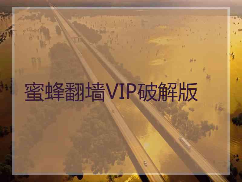 蜜蜂翻墙VIP破解版