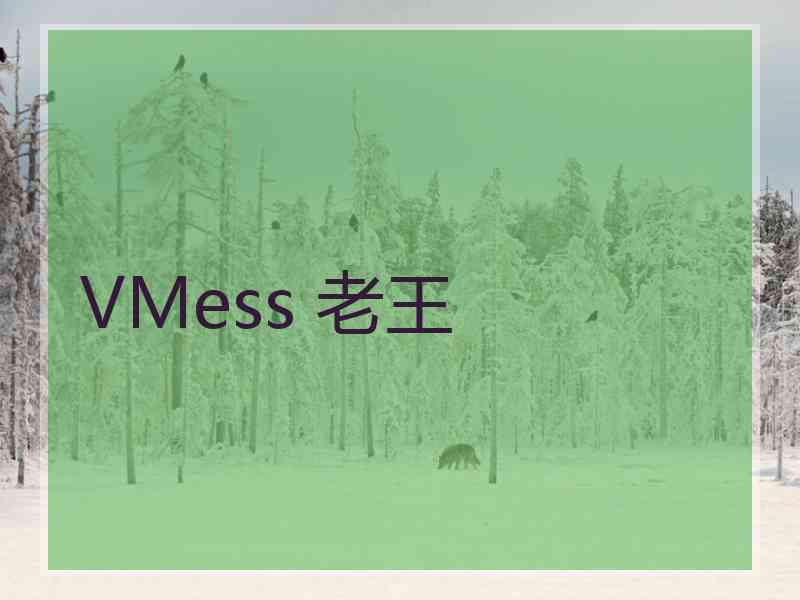 VMess 老王