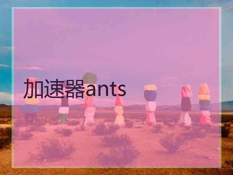 加速器ants