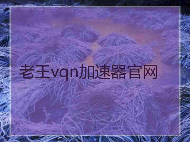 老王vqn加速器官网