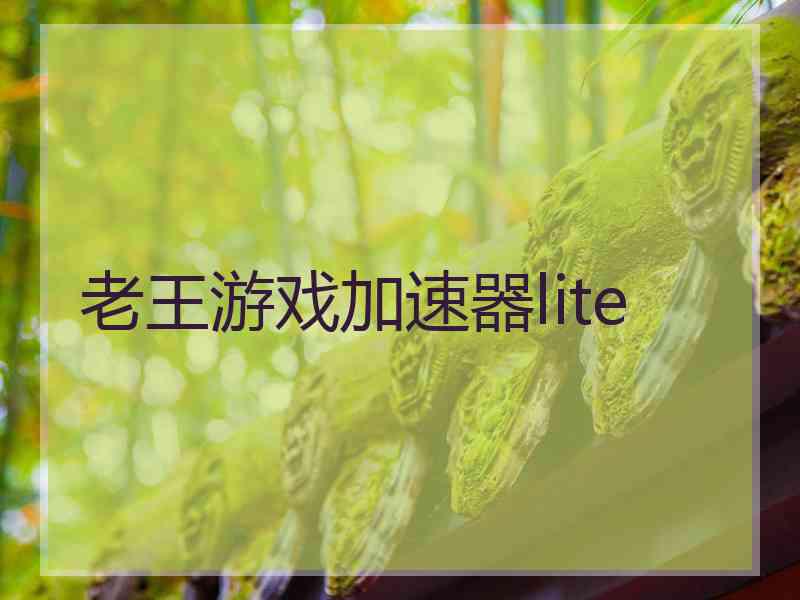 老王游戏加速器lite