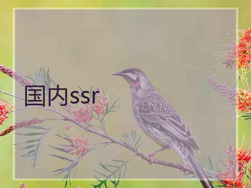 国内ssr