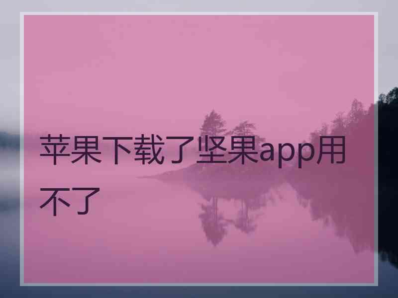 苹果下载了坚果app用不了