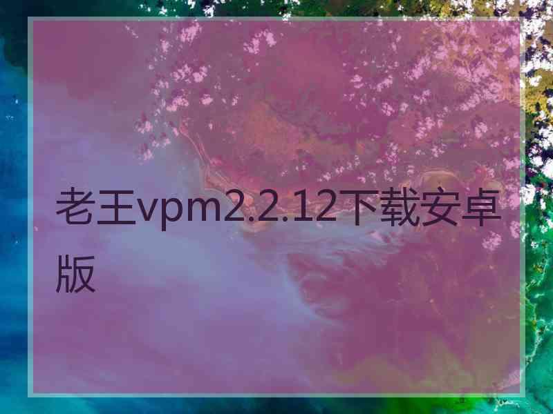 老王vpm2.2.12下载安卓版