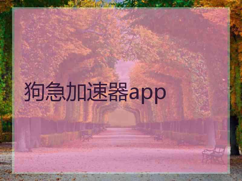 狗急加速器app