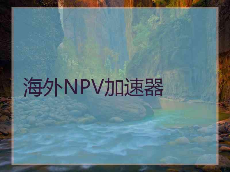 海外NPV加速器