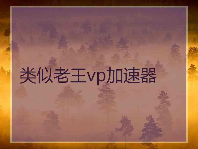 类似老王vp加速器