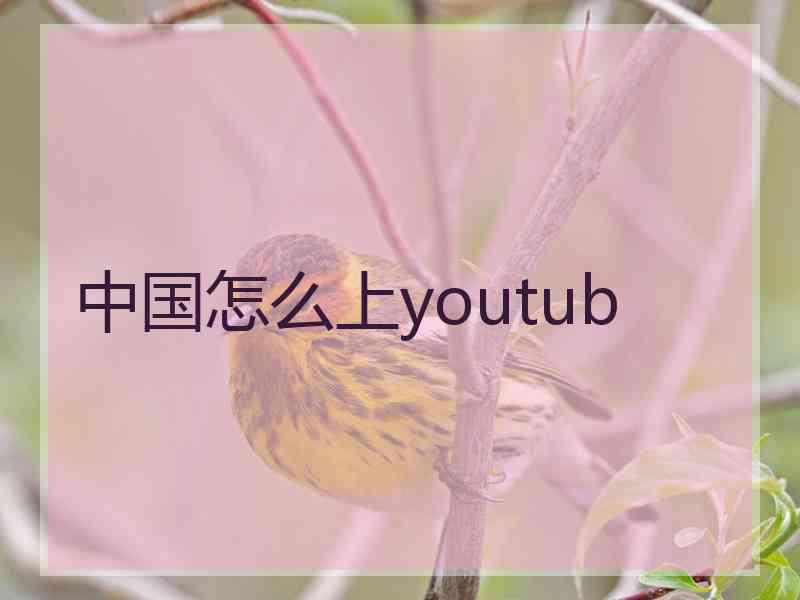 中国怎么上youtub