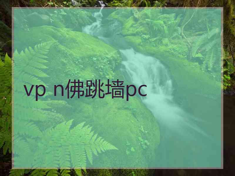 vp n佛跳墙pc