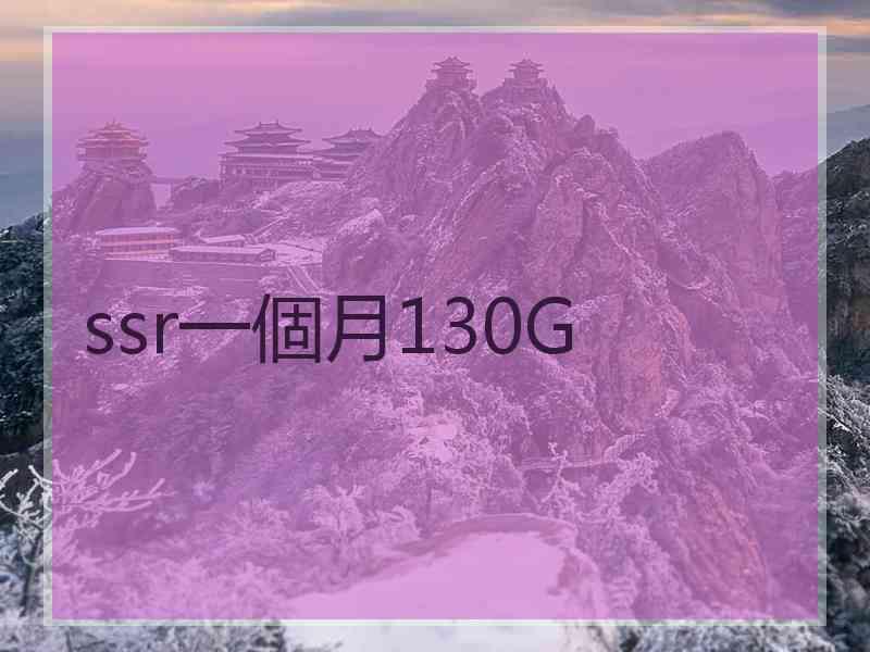 ssr一個月130G