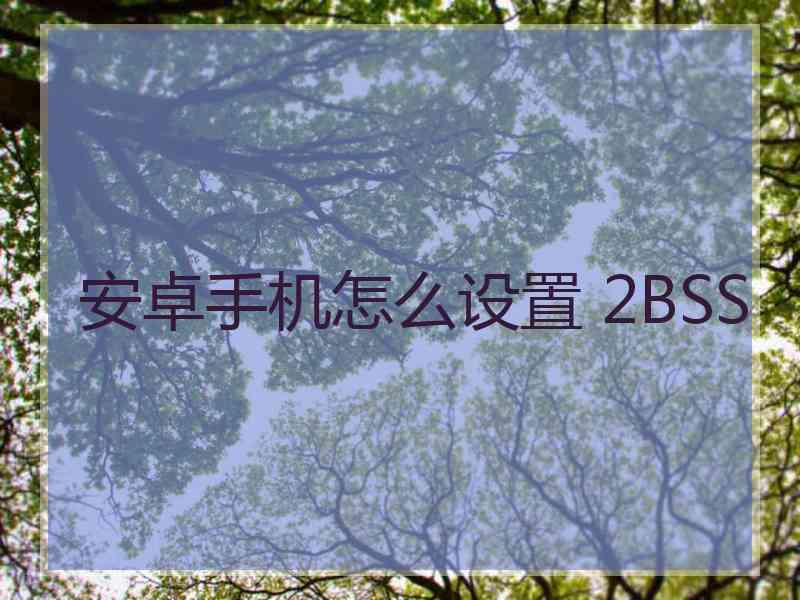 安卓手机怎么设置 2BSS