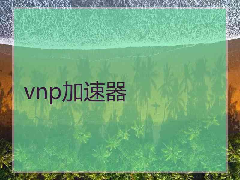 vnp加速器