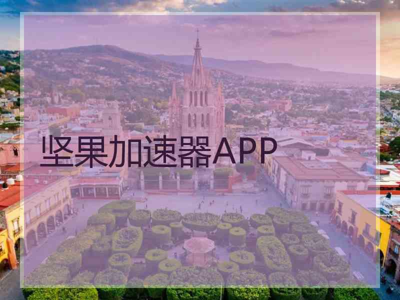 坚果加速器APP