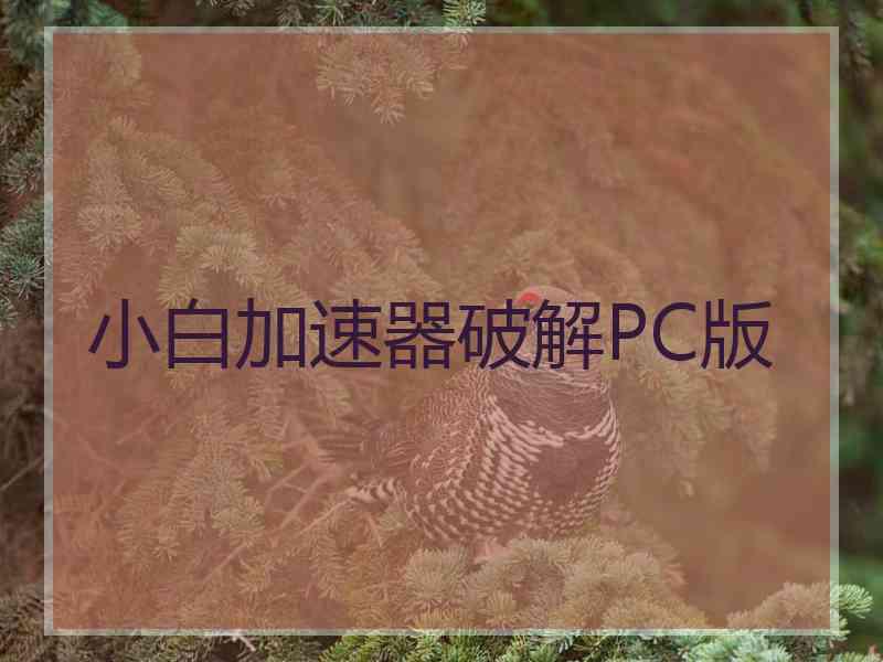 小白加速器破解PC版