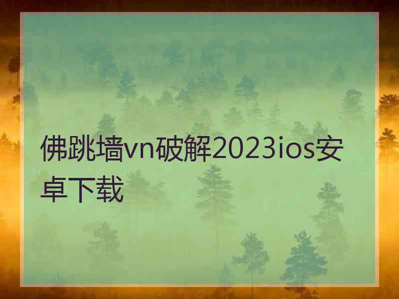 佛跳墙vn破解2023ios安卓下载