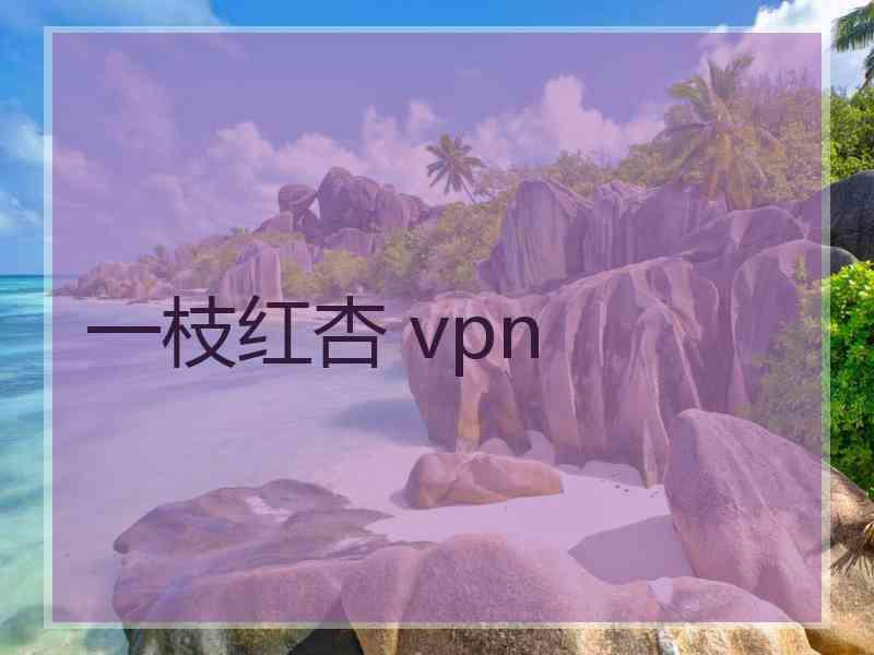 一枝红杏 vpn