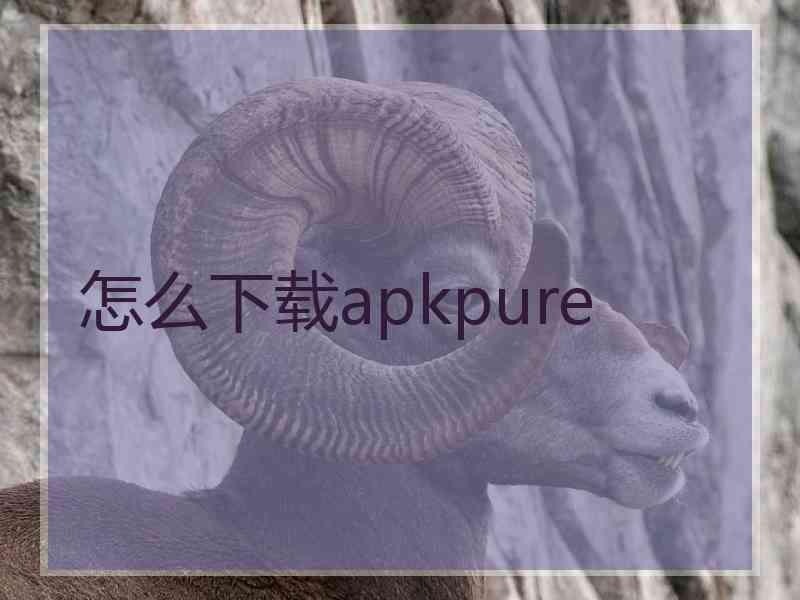 怎么下载apkpure