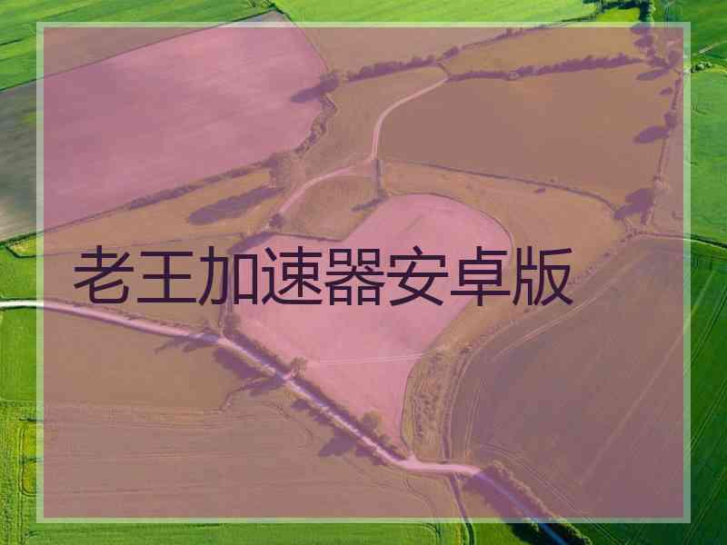 老王加速器安卓版