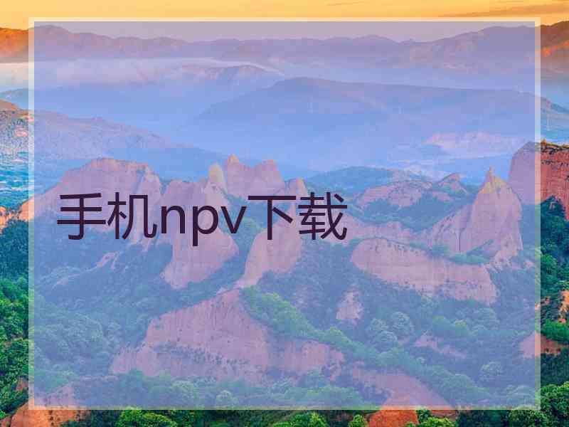 手机npv下载