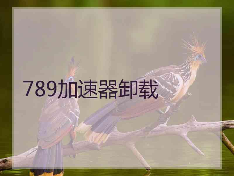 789加速器卸载