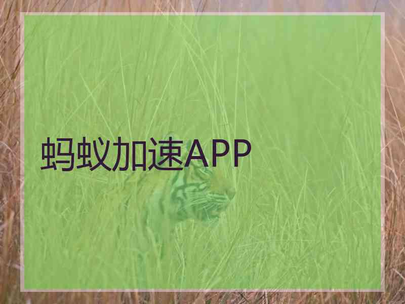 蚂蚁加速APP