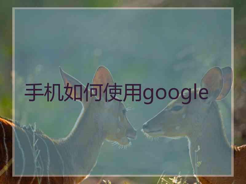 手机如何使用google