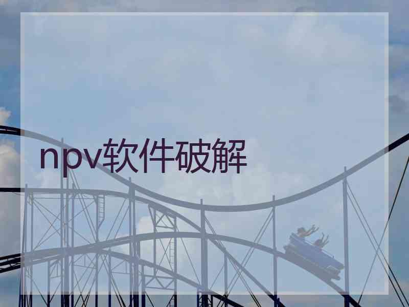 npv软件破解