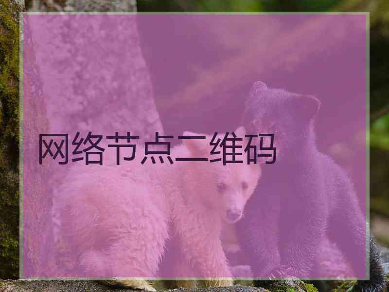 网络节点二维码