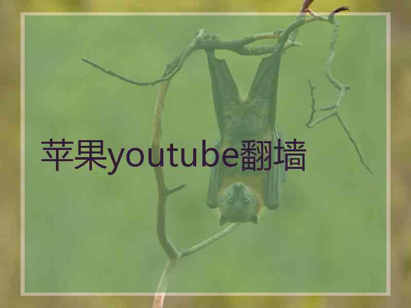 苹果youtube翻墙