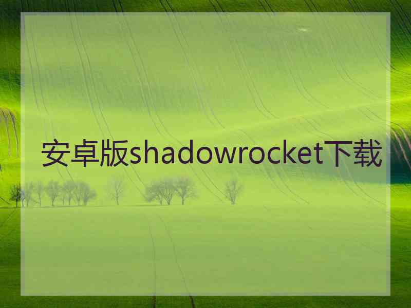 安卓版shadowrocket下载