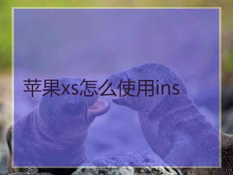 苹果xs怎么使用ins