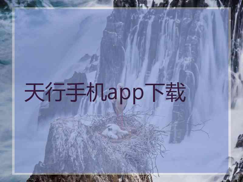 天行手机app下载