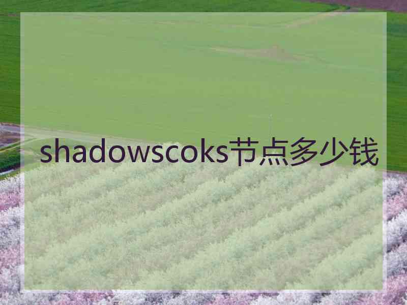 shadowscoks节点多少钱